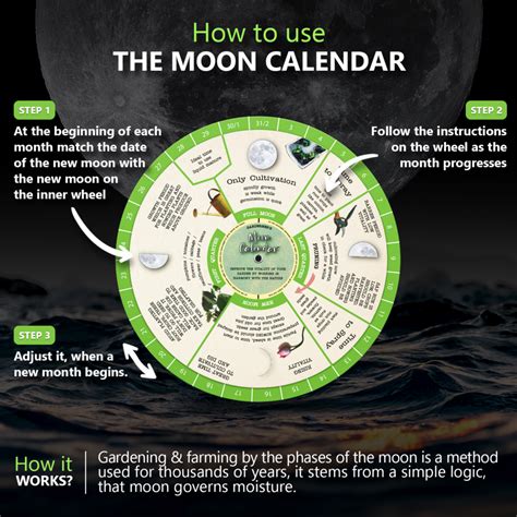 Gardening Moon Calendar, Perpetual Lunar Cycle Calendar for Gardeners ...