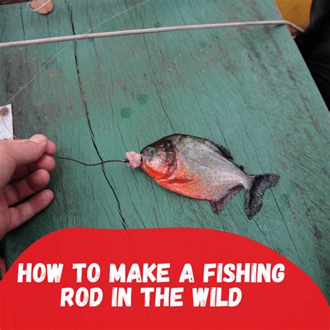 How To Make A Fishing Rod In The Woods - Unique Fish Photo