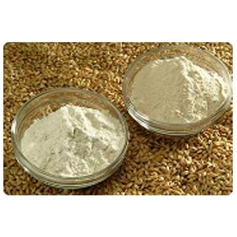 Malt Flour - Barley Malt Flour, Wheat Malt Flour and Dry Malt Flour