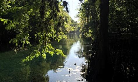 Chiefland, FL 2023: Best Places to Visit - Tripadvisor