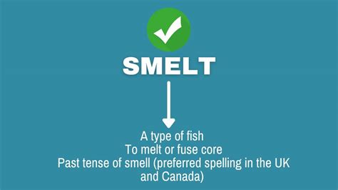 Smelled or Smelt: Which Spelling Is Correct? - Capitalize My Title