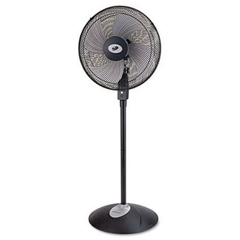 Remote Control Pedestal Fan,16", Oscillating, Metal, 17 3/5w x 16 2/5d ...