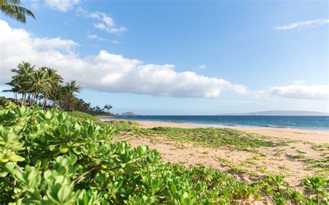 What to Know About Maui Weather - Engaged on Maui | Maui Proposal ...