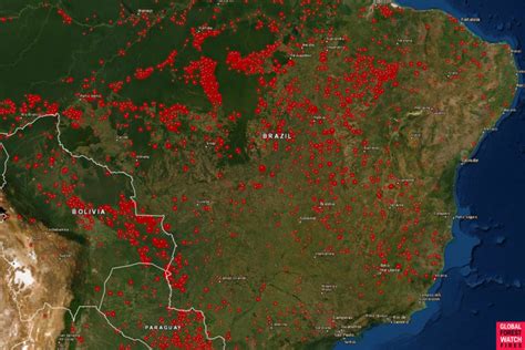 Amazon rainforest fires leave São Paulo in the dark