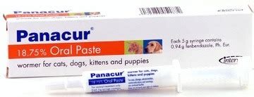 Panacur Paste, Panacur Wormer, Panacur Dog Paste - VioVet