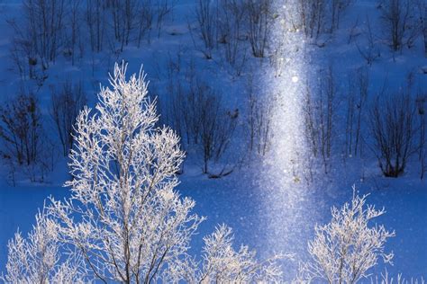 Magical Winterscapes: When Diamond Dust Becomes Sun Pillars