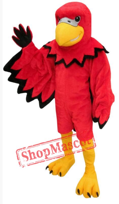 Red Bird Mascot Costume