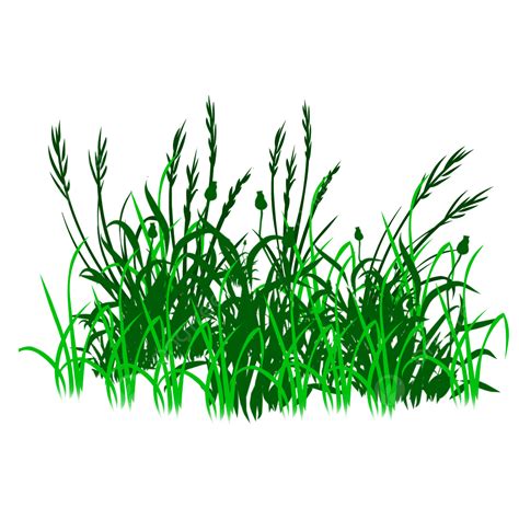 Grass Ground Clipart Transparent Background, Deep Green Ground Grass And Flowers Free Png Psd ...