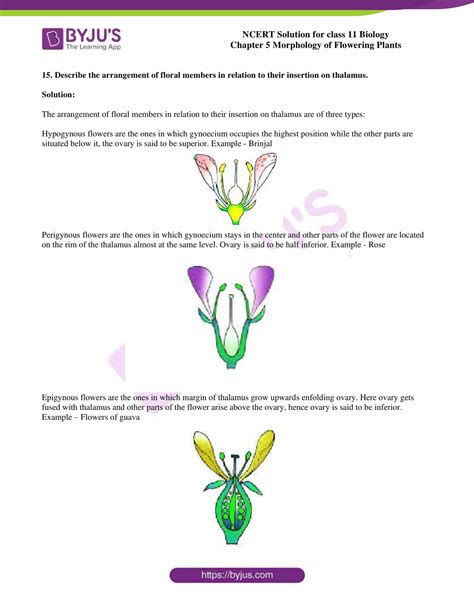 Morphology Biology