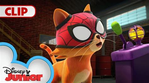 Spidey and his Amazing Friends | S2.E17.Pt2 | Clip: Spidey Super Cat ...