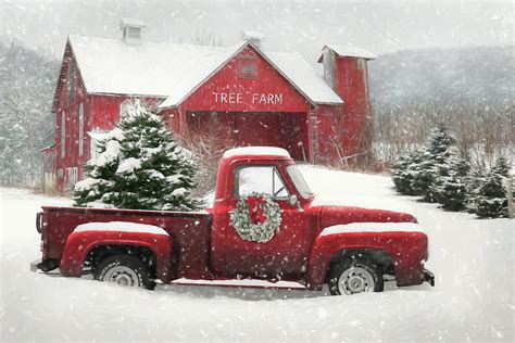 Christmas Tree Farm Snow