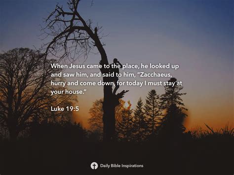 Luke 19:5 | Daily Bible Inspirations