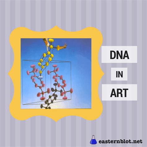 How has DNA inspired art? - easternblot.net