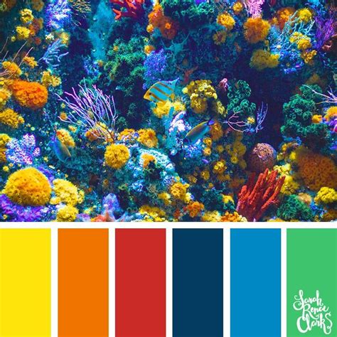 SRC Living Coral Collection | Beach color palettes, Color palette ...