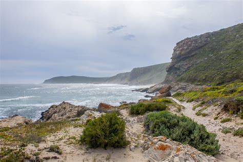 Robberg Nature Reserve (CapeNature) « Robberg Nature Reserve - Hikes, walks seals, wildlife at ...