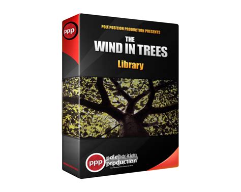 Wind In Trees Sound Effects - Pole Position Production