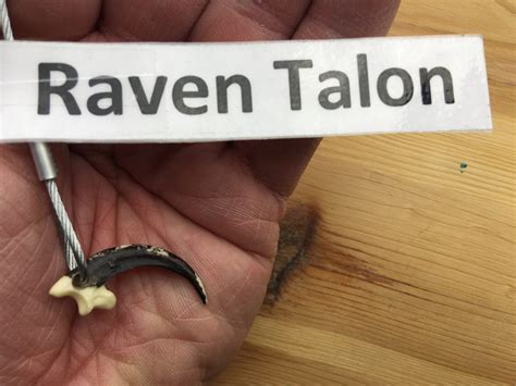 Raven Talon Size – Welcome to Raven's End!