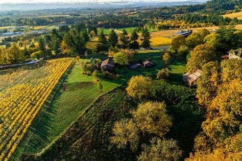 Willamette Valley Guide: Tips for a Wine Lover's Retreat - iTripVacations