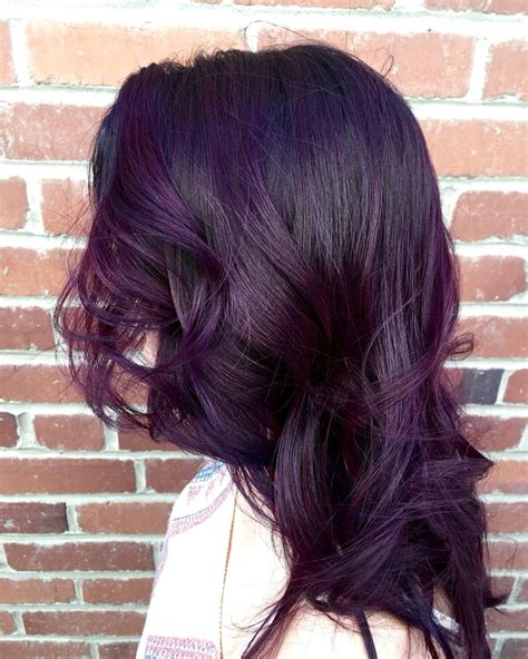 Dark purple hair | Haarfarben, Lila haare, Haare