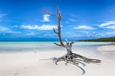 Harbour Island | Bahamas | Bonefishing Charter