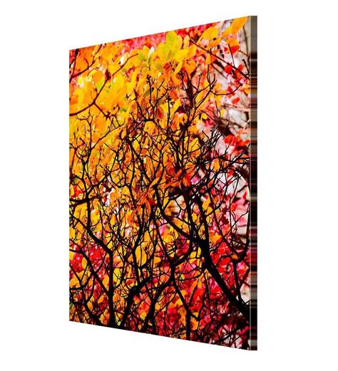 Buy Yellow Wooden Framed Printed Beautiful Autumn Wood Canvas Art Print by 999Store Online ...