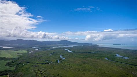 The Daintree River Wallpapers (19+ images inside)