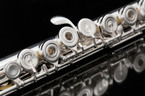 China Solid 925 Silver Flute Professional - China Open Tonehole and B ...