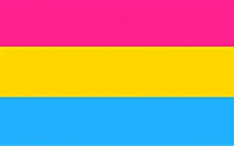 Pansexual Flag - Pansexual Pride Flag - Pride Basics - Pansexual people may be described as ...