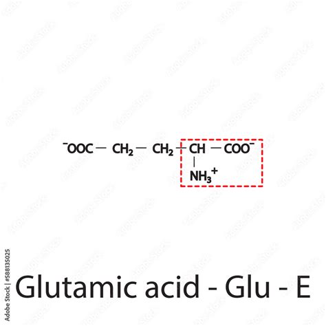 Glutamic acid - Glu - E amino acid structure. Skeletal formula with amino group highlighted in ...