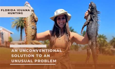 Florida Iguana Hunting: An Unconventional Solution to an Unusual Problem