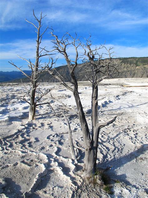 June: Yellowstone NP « A year in our national parks