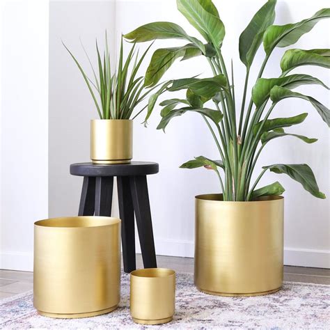 Brass Metal Planter for Indoor Plants