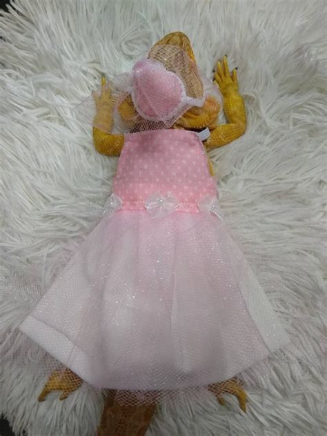 Pink Princess Bearded Dragon Costume Dress MADE IN AMERICA - Etsy