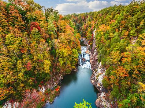 YOUR Guide to Enjoying Fall Colors in North Georgia | Georgia Cabins ...