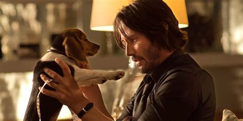 Keanu Reeves to Reunite With X-Men Star in John Wick Franchise As ...