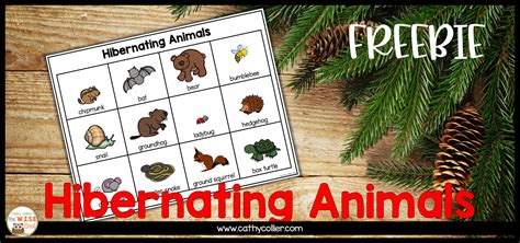 Books, Bears, And Bats: Teaching Resources For Hibernating Animals FREEBIE | The WISE Owl