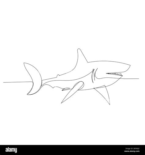 vector, isolated, single line drawing continuous, shark Stock Vector Image & Art - Alamy