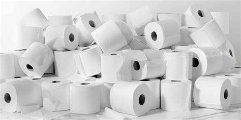 Charmin Ultra Gentle Toilet Paper $0.24 Per Roll Shipped **Stock Up Time** | SwagGrabber