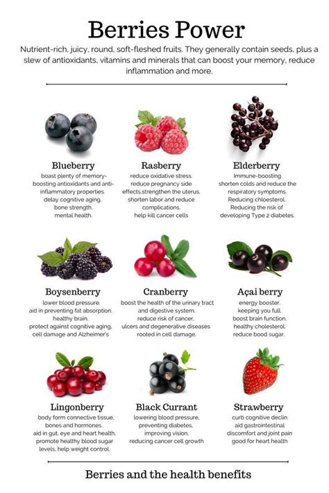 Powerful acai berry health benefits including 3 major vitamins – Artofit