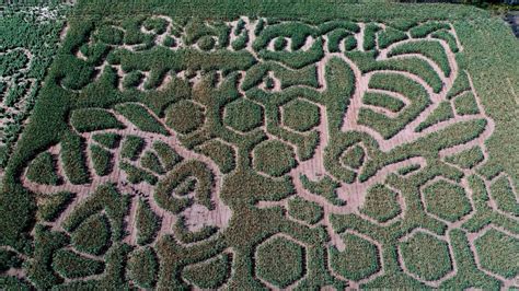 7 Amazing Aerial Pictures of Corn Mazes in the U.S. - Guideposts