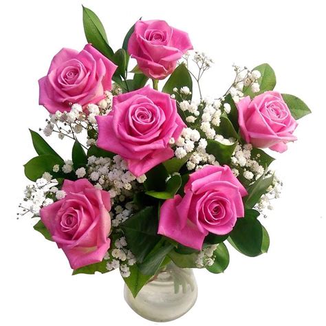 6 Pink Roses Fresh Flower Bouquet | Lovely Arrangement of 6 Pink Rose Flowers with Next Day Delivery