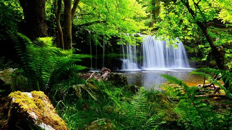 Waterfalls Pouring On River Surrounded By Green Trees Bushes Plants HD Scenery Wallpapers | HD ...