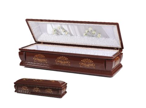 Full Glass Casket | Emmanuel Funeral Planners