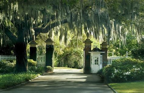 Entrance to Yeamans Hall, Charleston, SC | Fences & Gates & Railings