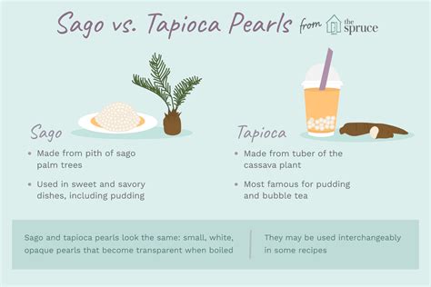 All About Sago and Tapioca Pearls