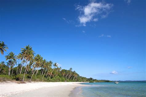 Pemba Island - Diving and snorkeling in a spice-scented paradise