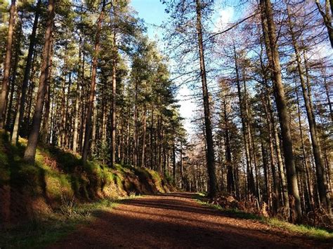 Northumberland National Park Photos - Featured Images of Northumberland ...