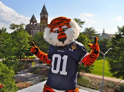 Aubie - Auburn University Mascot Costume | Animal Mascot and Costumes