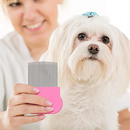 磊 Best Dog Flea Combs in 2022 - Dog Flea Combs Reviews and Ratings 🔥