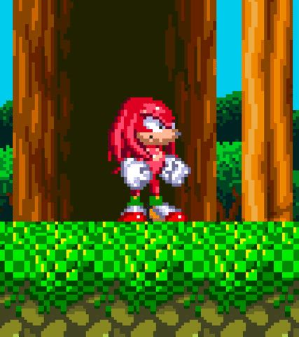 Knuckles The Echidna GIFs - Find & Share on GIPHY